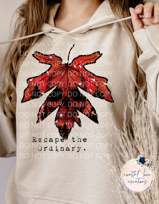 Escape The Ordinary Hoodie